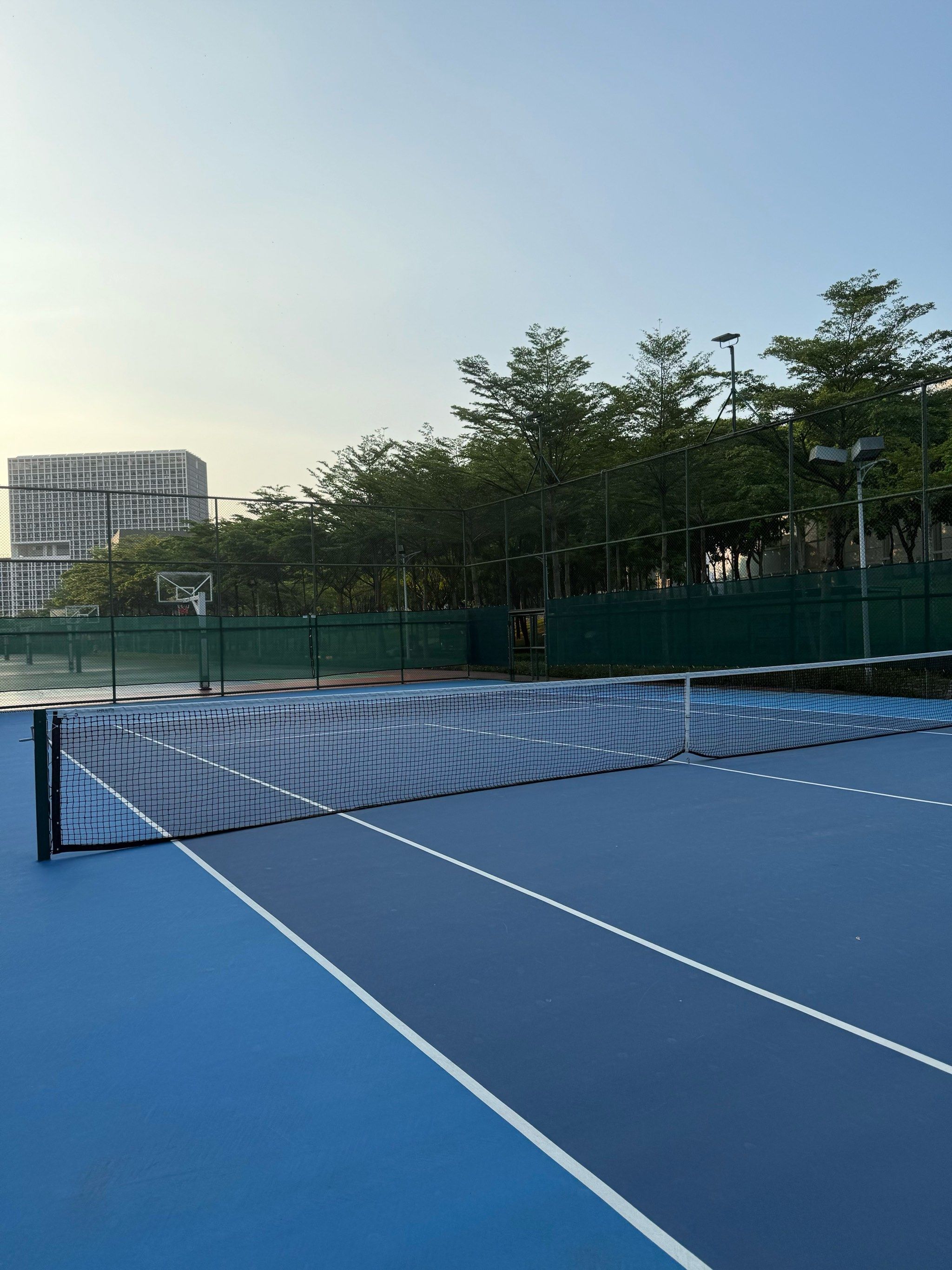 珊蒂面对来 珊蒂面对来